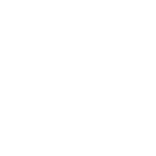 skrzydla zurawia bialy 250